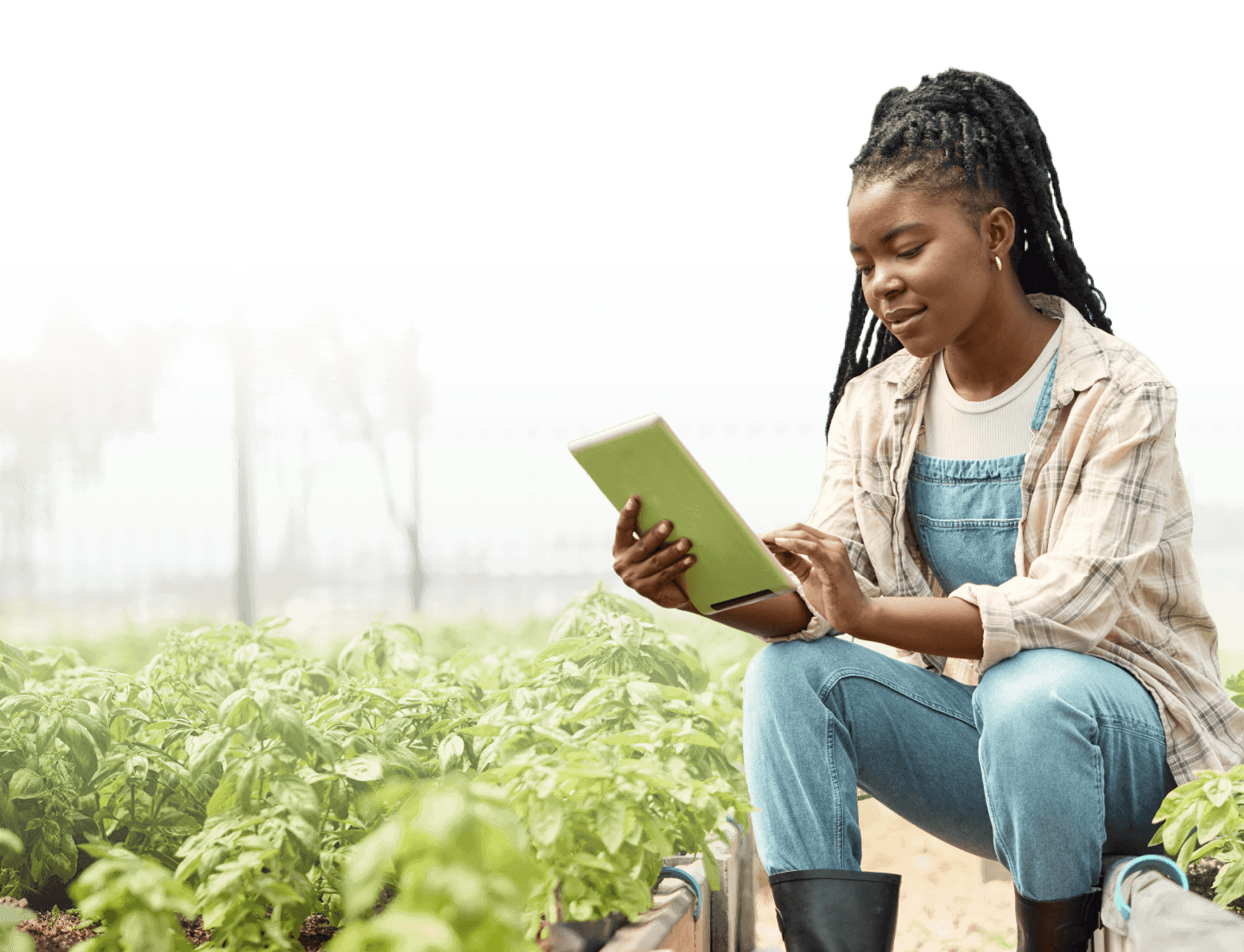 Hero Section Background